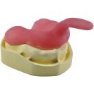 Light-Curing Tray Material Pink 50 Pcs