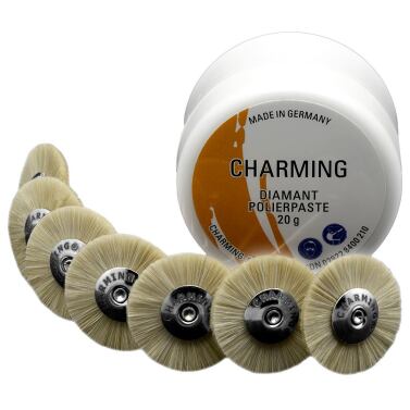 Dental Diamantpolierpaste Set 20 g mit 7 Ziegenhaarbürsten