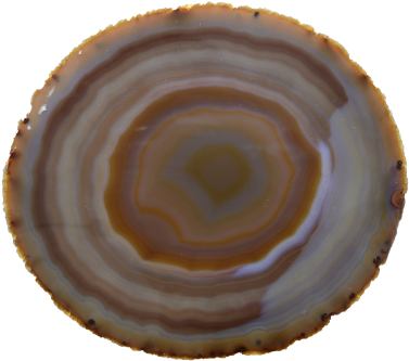 Exclusive Agate Slice L140*B120*H5mm