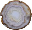 Exclusive Agate Slice L140*B135*H5mm