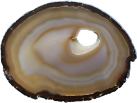 Exclusive Agate Slice L165*B120*H5mm