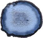 Exclusive Agate Slice L175*B160*H5mm