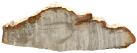 Wood petrified Madagascar L295 W105 H25mm