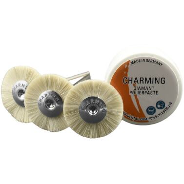 Dental Diamantpolierpaste Set 5 g mit 3 Ziegenhaarbürsten
