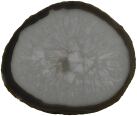Agate Mixing Palette L180 B170 H5 mm