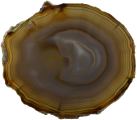 Exclusive Agate Slice L160 * B140 * H6 mm