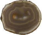 Exclusive Agate Slice L190 * B165 * H6 mm