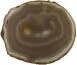 Agate Mixing Palette L190 B165 H6 mm