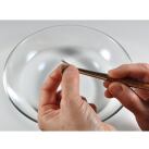 Pflegeöl für Naturhaarpinsel 20 ml