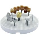 Firing Tray Set for Ceramics & Zirconia