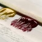 Bande de Humide Universelles